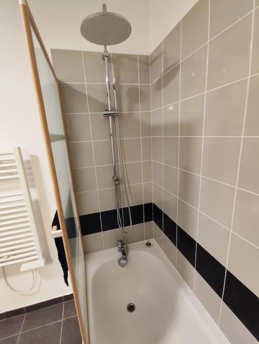 T2 Avec Jardin Proche Aeroport, Airbus, Meet Apartment Daux Exterior photo