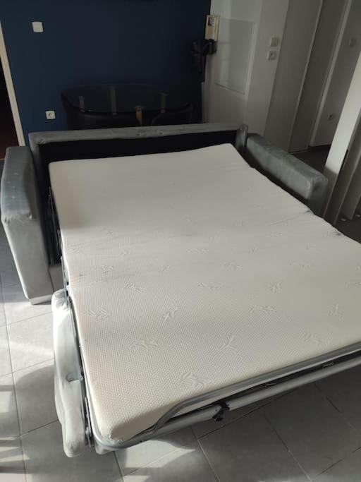 T2 Avec Jardin Proche Aeroport, Airbus, Meet Apartment Daux Exterior photo